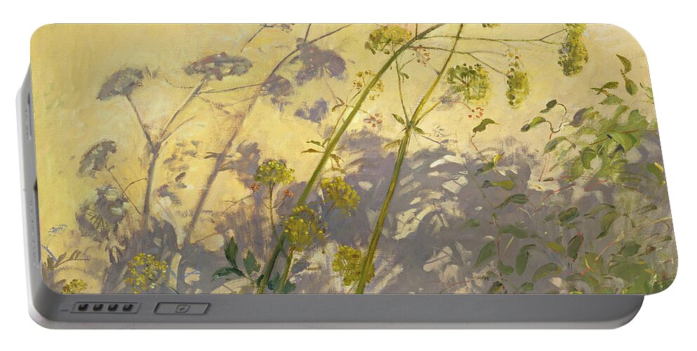 Shadow; Flower; Wild; Plant Portable Battery Charger featuring the painting Lovage Clematis and Shadows by Timothy Easton