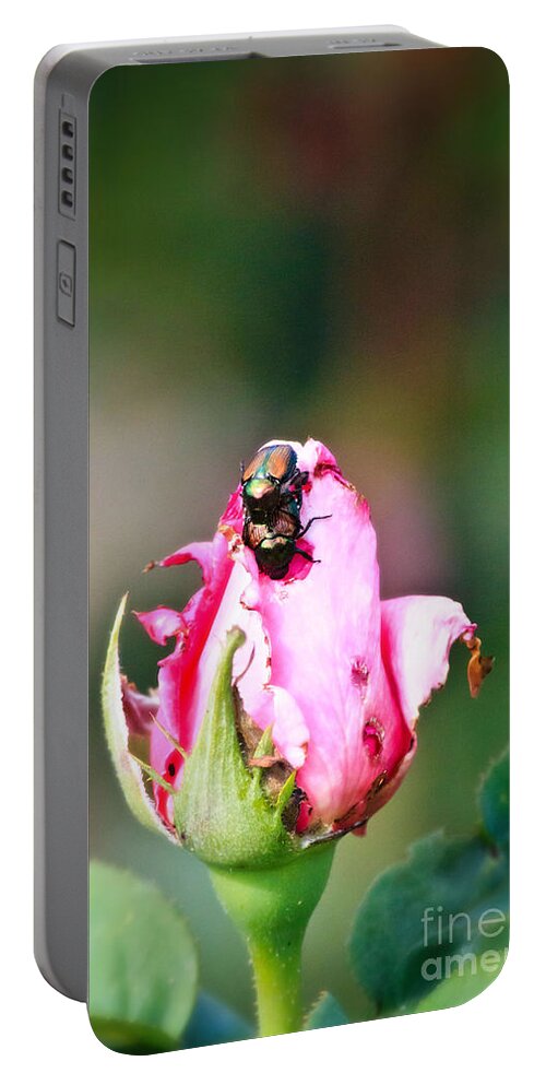 Love Bugs Portable Battery Charger featuring the photograph Love Bugs by Ms Judi