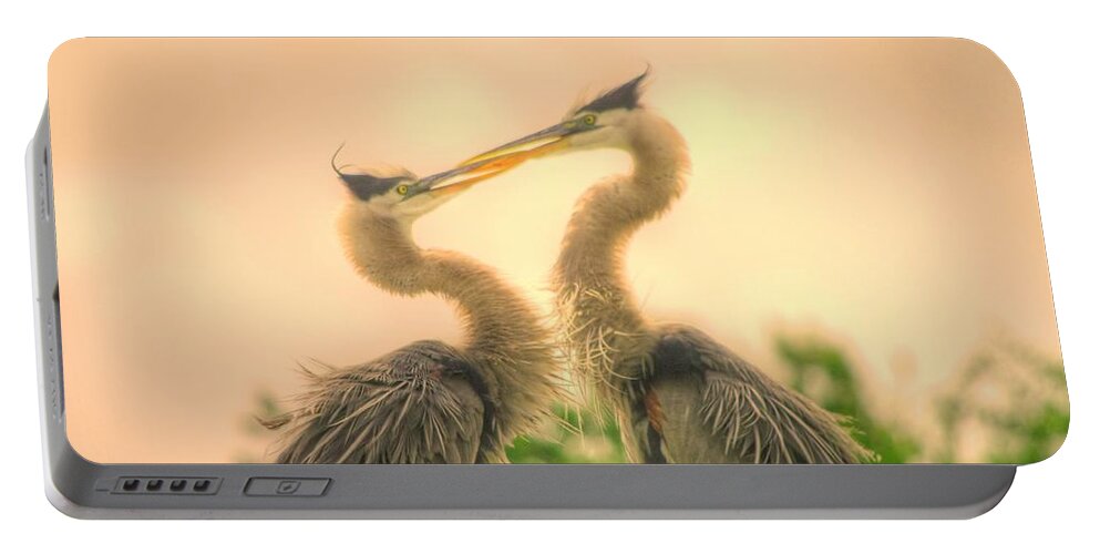 Blue Herons Portable Battery Charger featuring the photograph Lovebirds by Dennis Baswell