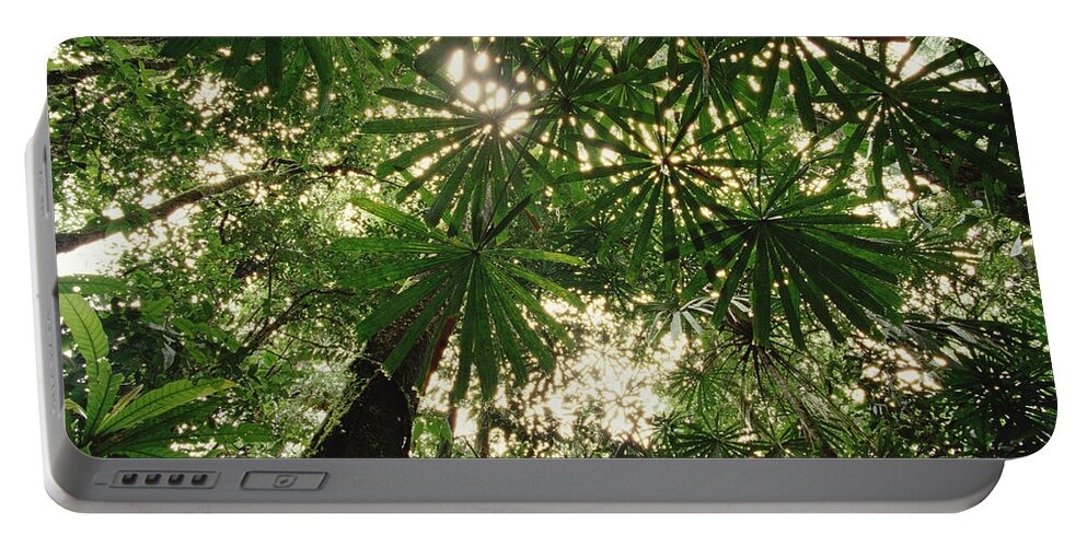 00200724 Portable Battery Charger featuring the photograph Lowland Tropical Rainforest Fan Palms by Gerry Ellis