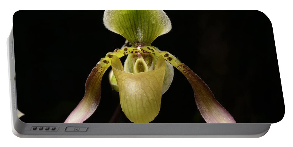 Feb0514 Portable Battery Charger featuring the photograph Lows Slipper Orchid Flower Borneo by Ch'ien Lee
