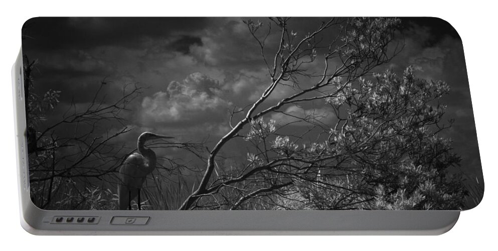 Egret Portable Battery Charger featuring the photograph Loxahatchee Heron At Sunset by Bradley R Youngberg