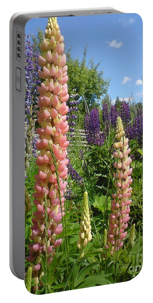 Garden Portable Battery Charger featuring the photograph Lupin Summer by Martin Howard
