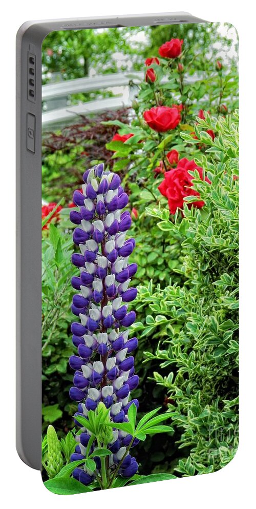 Lupine Portable Battery Charger featuring the photograph Lupine and Roses by Sharon Woerner