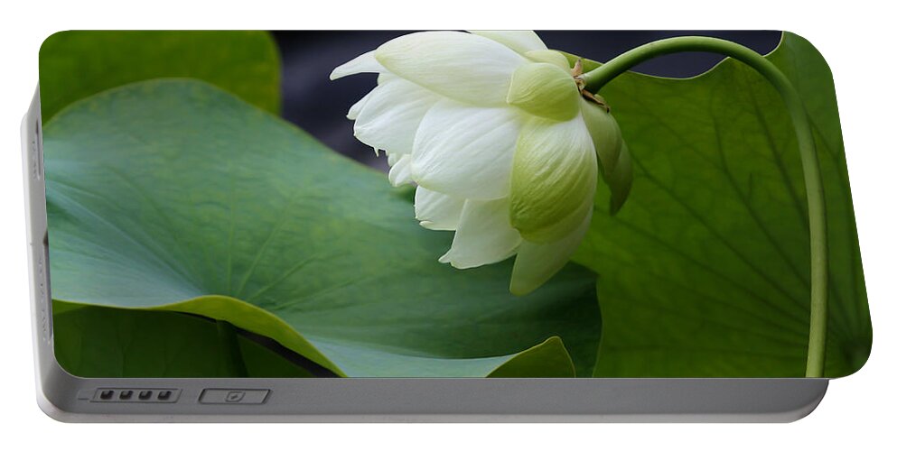 Macro Portable Battery Charger featuring the photograph Luscious Lotus by Sabrina L Ryan