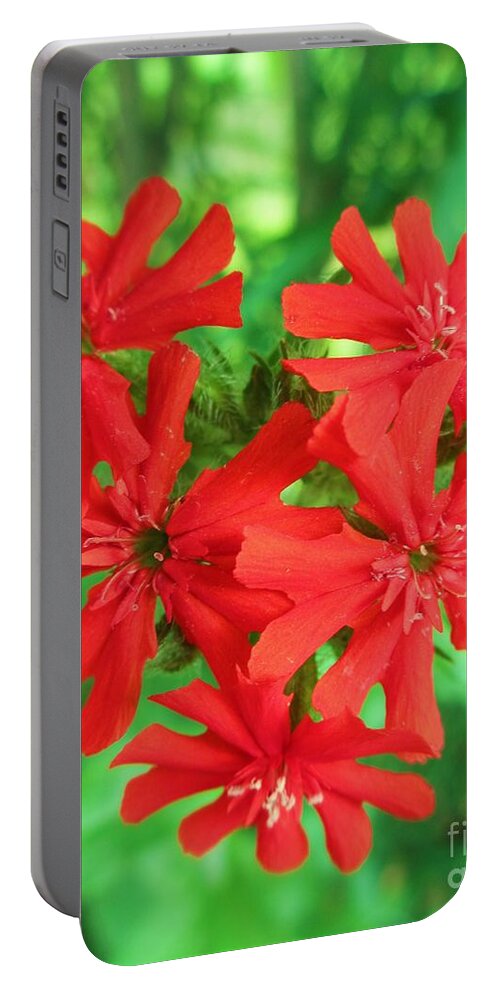 Lychnis Portable Battery Charger featuring the photograph Lychnis Heart by Martin Howard