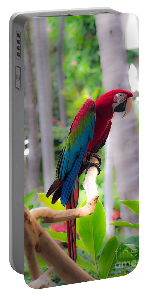 Macaw Portable Battery Charger featuring the photograph Macaw by Angela DeFrias