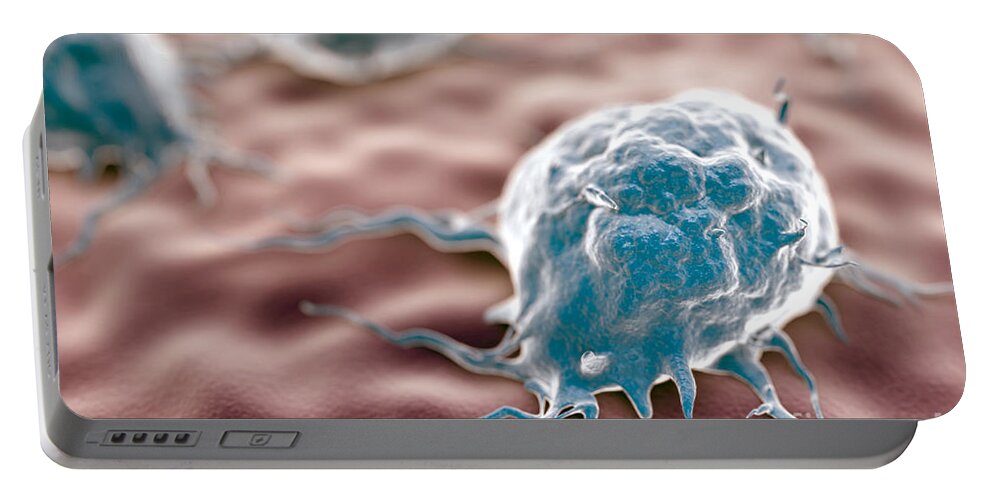 Leucocytes Portable Battery Charger featuring the photograph Macrophages by Science Picture Co