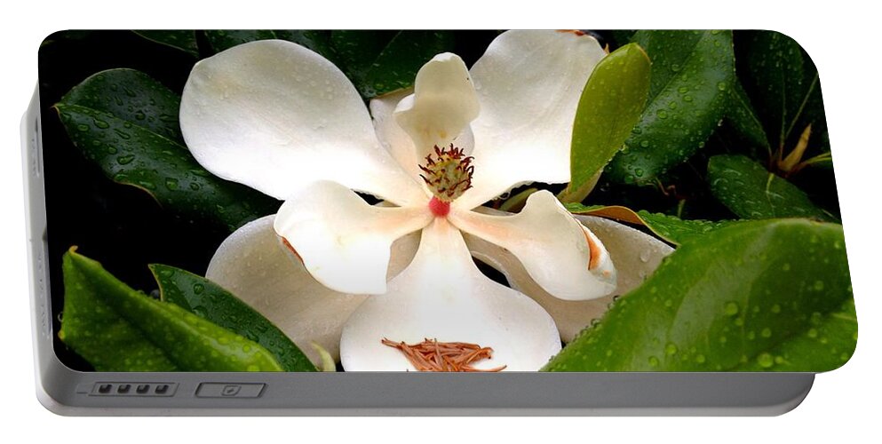 Magnolia Portable Battery Charger featuring the photograph Mag Rain by John Duplantis