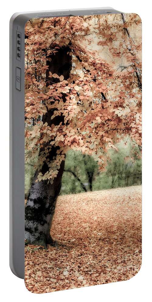 Autumn Portable Battery Charger featuring the photograph Magical Fall by Hannes Cmarits