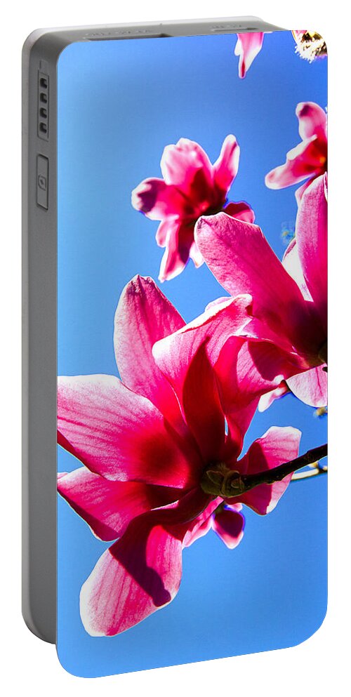 Magnolia Portable Battery Charger featuring the photograph Magnificent magnolia by Peter Lloyd