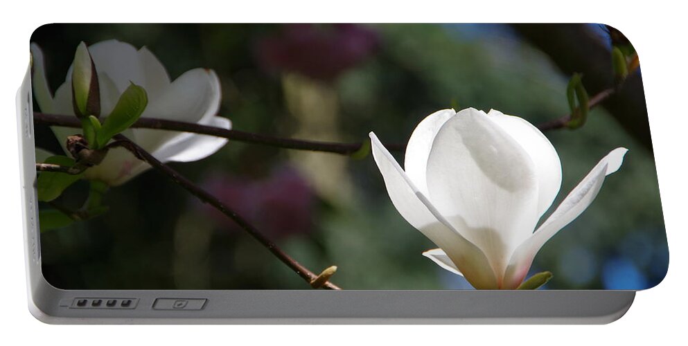 Magnolia Portable Battery Charger featuring the photograph Magnolia Blossoms by Marilyn Wilson