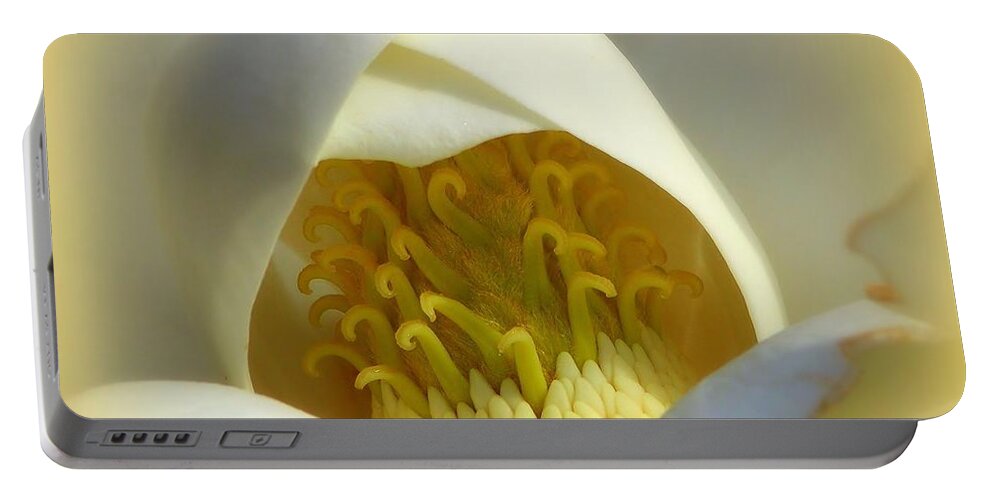 Southern Flowers Portable Battery Charger featuring the photograph Magnolia Cloud by Karen Wiles