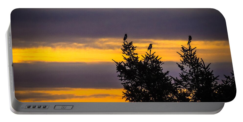 Magpies Portable Battery Charger featuring the photograph Magpies at Sunrise by James Truett
