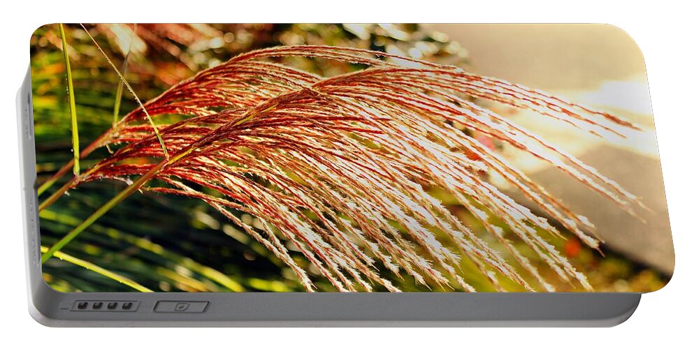 Maiden Seagrass Portable Battery Charger featuring the photograph Maiden Seagrass Flower Head by Judy Palkimas