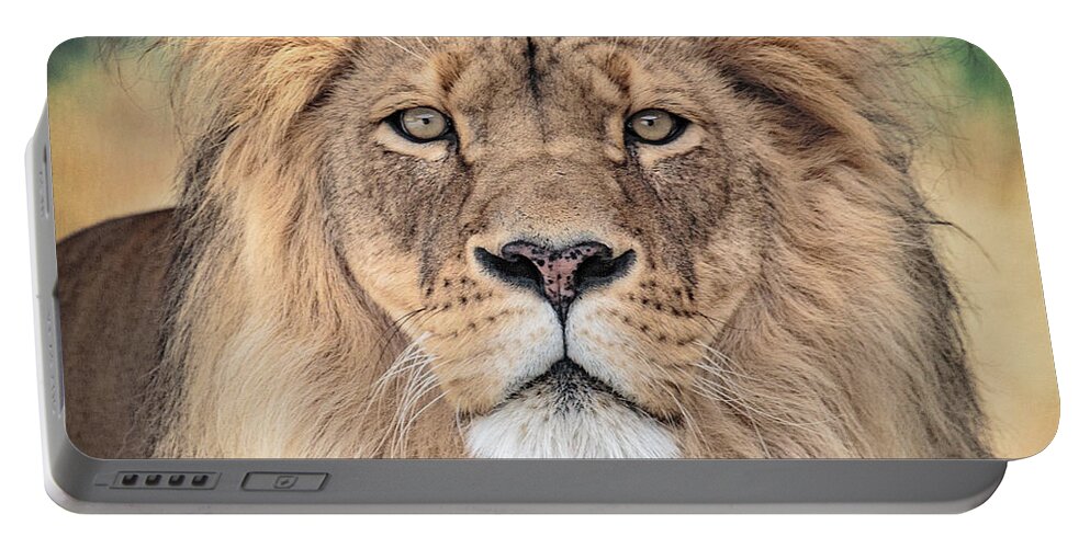 Lion Portable Battery Charger featuring the photograph Majestic King by Everet Regal