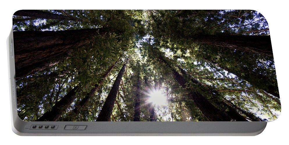 Redwood Portable Battery Charger featuring the photograph Majestic Redwoods by Betty Depee