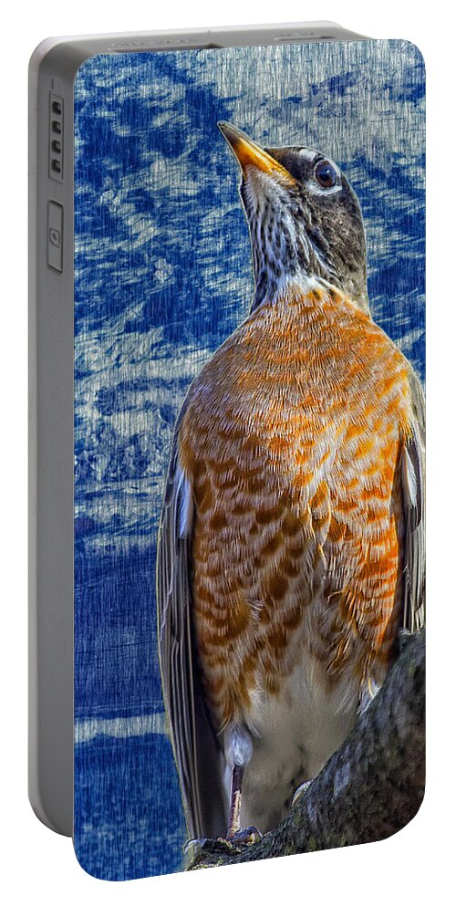 Robin Portable Battery Charger featuring the photograph Majestic Robin Blues by Bill and Linda Tiepelman