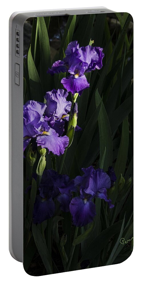 Flowers Portable Battery Charger featuring the photograph Majestic Spotlight by Penny Lisowski