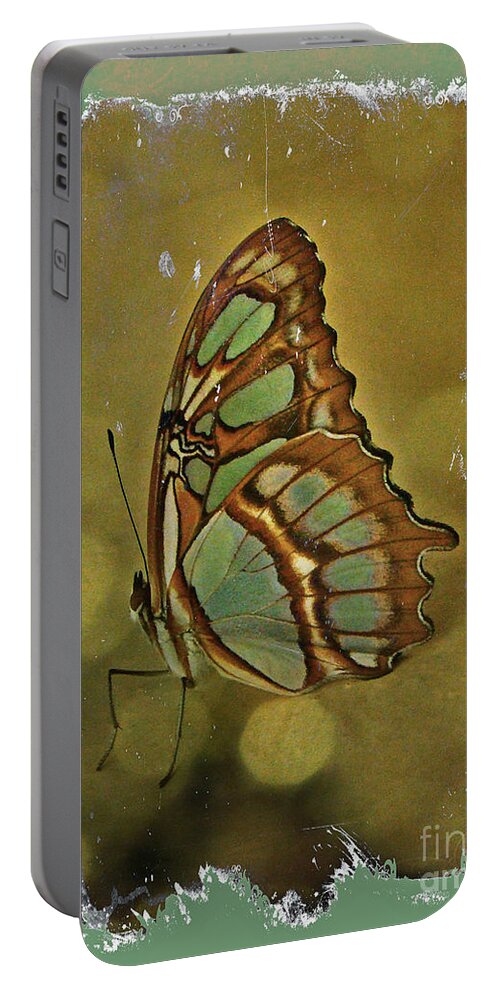 Malachite Portable Battery Charger featuring the photograph Malachite - Flying Jewel by Carol Senske