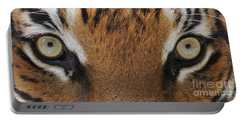Malayan Tiger Portable Battery Charger featuring the photograph Malayan Tiger Eyes by Meg Rousher