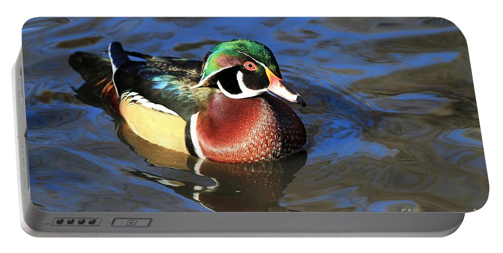 Bird Portable Battery Charger featuring the photograph Male Wood Duck by Teresa Zieba