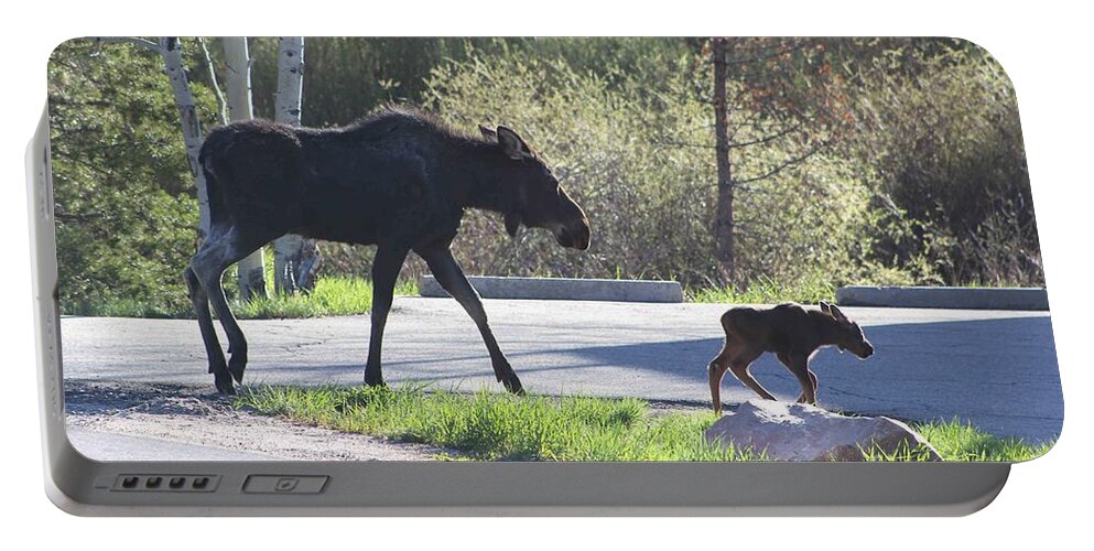 Cow Moose Portable Battery Charger featuring the photograph Mama and Baby Moose by Fiona Kennard