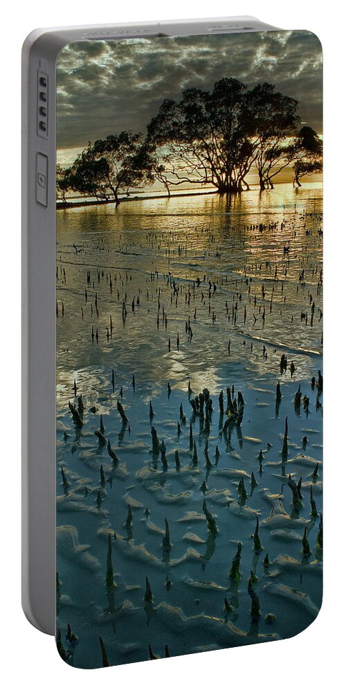 2010 Portable Battery Charger featuring the photograph Mangroves by Robert Charity