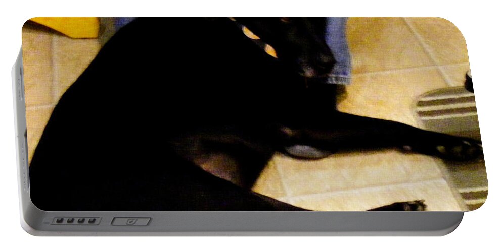 Black Labrador Retriever Portable Battery Charger featuring the photograph Man's Best Friend by Barbara A Griffin