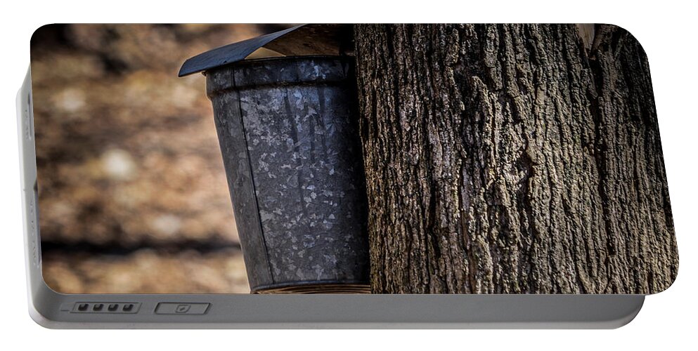 Collecting Sap Portable Battery Charger featuring the photograph Maple Syrup Time Collecting Sap by Ronald Grogan