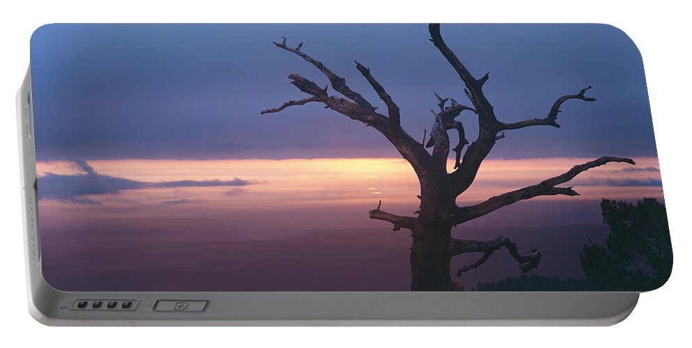 Arizona Portable Battery Charger featuring the photograph Marble View Snag by Tom Daniel