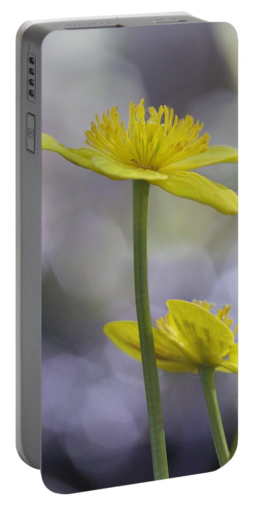 Beautiful Portable Battery Charger featuring the photograph Marsh marigold - available for licensing by Ulrich Kunst And Bettina Scheidulin