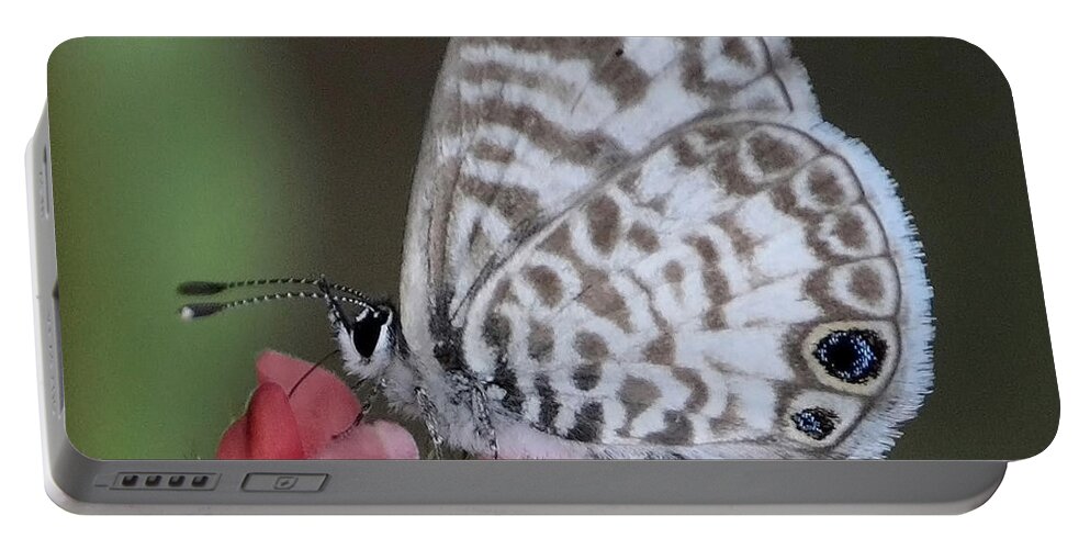 Butterfly Portable Battery Charger featuring the photograph Marsh Princess by Carol Groenen