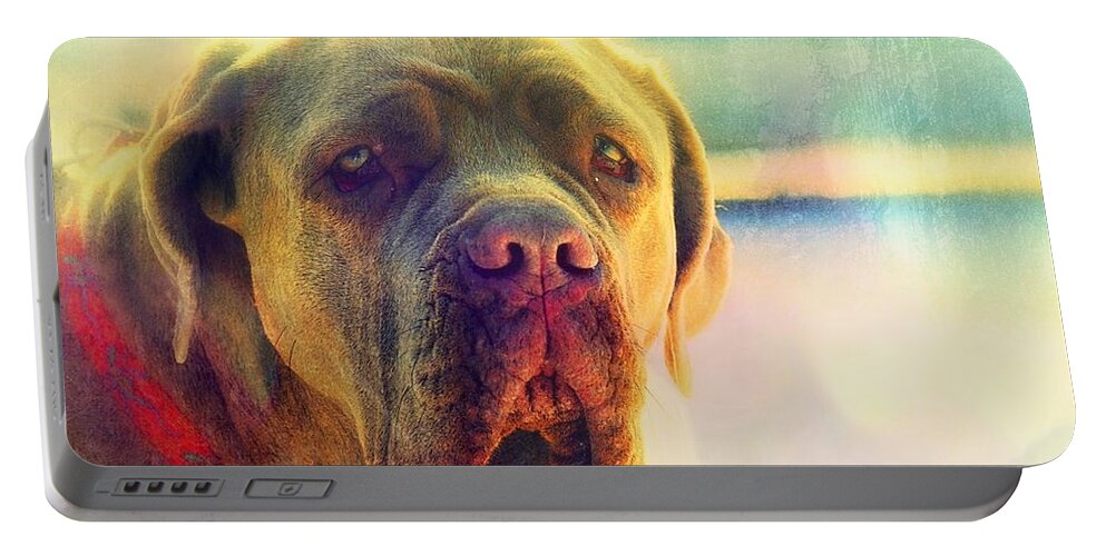  Portable Battery Charger featuring the photograph Dog Photo of a Neopolitan Mastif by Marysue Ryan