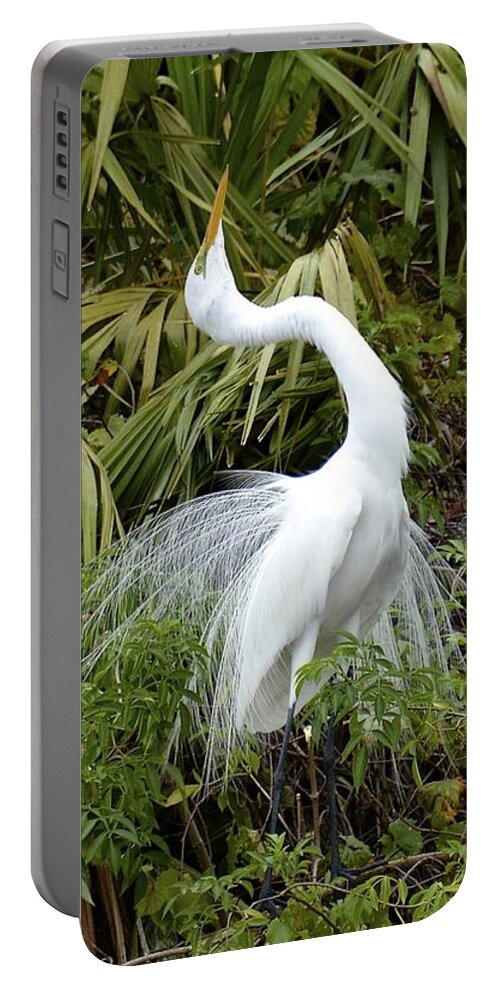 Egret Portable Battery Charger featuring the photograph The Devine Ms E by Carol Bradley