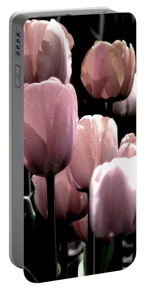 Pink Tulips Portable Battery Charger featuring the photograph Mauve In The Morning by Angela Davies