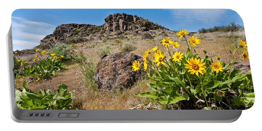 Arrowleaf Balsamroot Portable Battery Charger featuring the photograph Meadow of Arrowleaf Balsamroot by Jeff Goulden