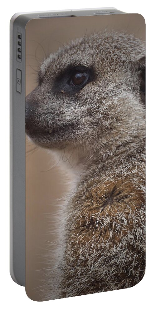 Meerkat Portable Battery Charger featuring the photograph Meerkat 9 by Ernest Echols