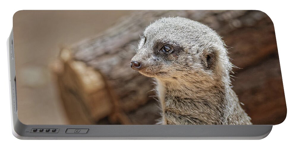 Adapted Portable Battery Charger featuring the photograph Meerkat by Peter Lakomy
