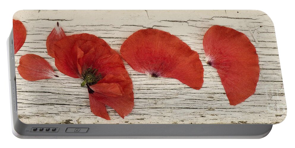 Popppy Portable Battery Charger featuring the photograph Memories Of A Summer Horizontal by Priska Wettstein