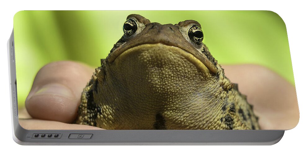 Toad Portable Battery Charger featuring the photograph Michigan Toad that almost got away by LeeAnn McLaneGoetz McLaneGoetzStudioLLCcom