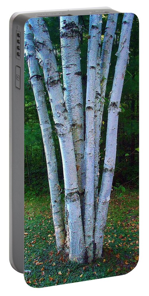 Birch Trees Portable Battery Charger featuring the photograph Micro-grove by Daniel Thompson
