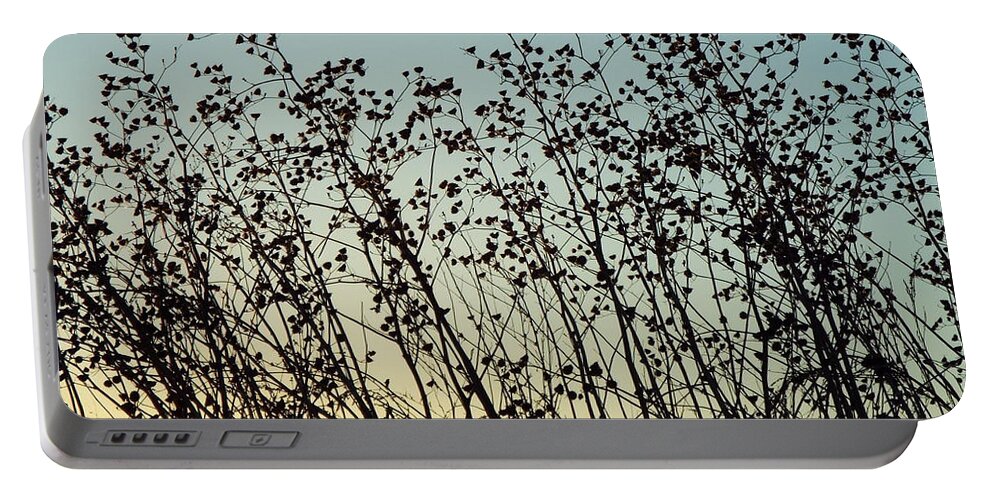 Sunset Portable Battery Charger featuring the photograph Mid Winter Silhouette by Caryl J Bohn
