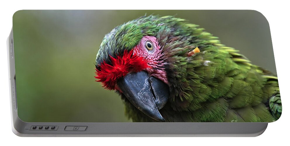 Macaw Portable Battery Charger featuring the photograph Military Macaw by Al Andersen