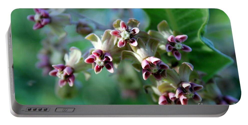 Milkweed Bloom Portable Battery Charger featuring the photograph Milkweed bloom by Renee Croushore