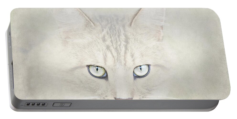 Cat Portable Battery Charger featuring the photograph Mind Disarmed by Evelina Kremsdorf