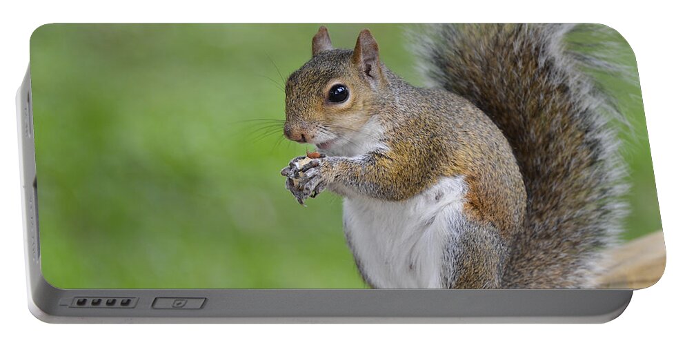 Squirrel Portable Battery Charger featuring the photograph Mine by Carolyn Marshall