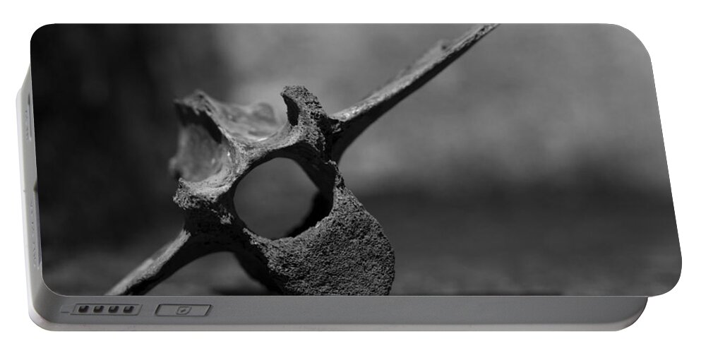 Miocene Fossil Portable Battery Charger featuring the photograph Miocene Fossil Whale Vertebra by Rebecca Sherman