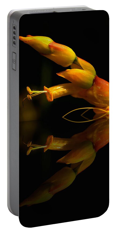 Blooms Portable Battery Charger featuring the photograph Mirror Image by Kathi Isserman
