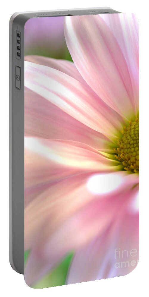 Pink Daisy Portable Battery Charger featuring the photograph Miss Daisy by Deb Halloran